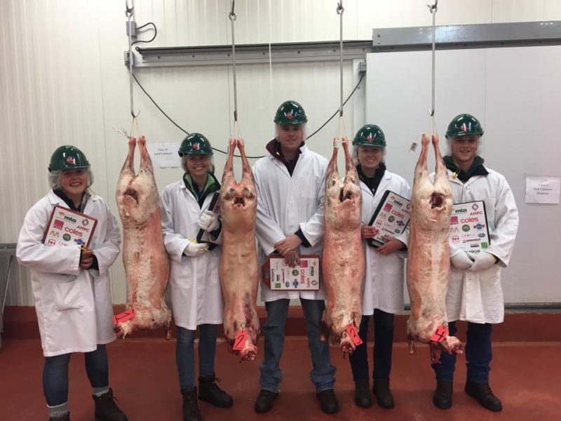 Australian Intercollegiate Meat Judging Association (ICMJ) in chiller USA